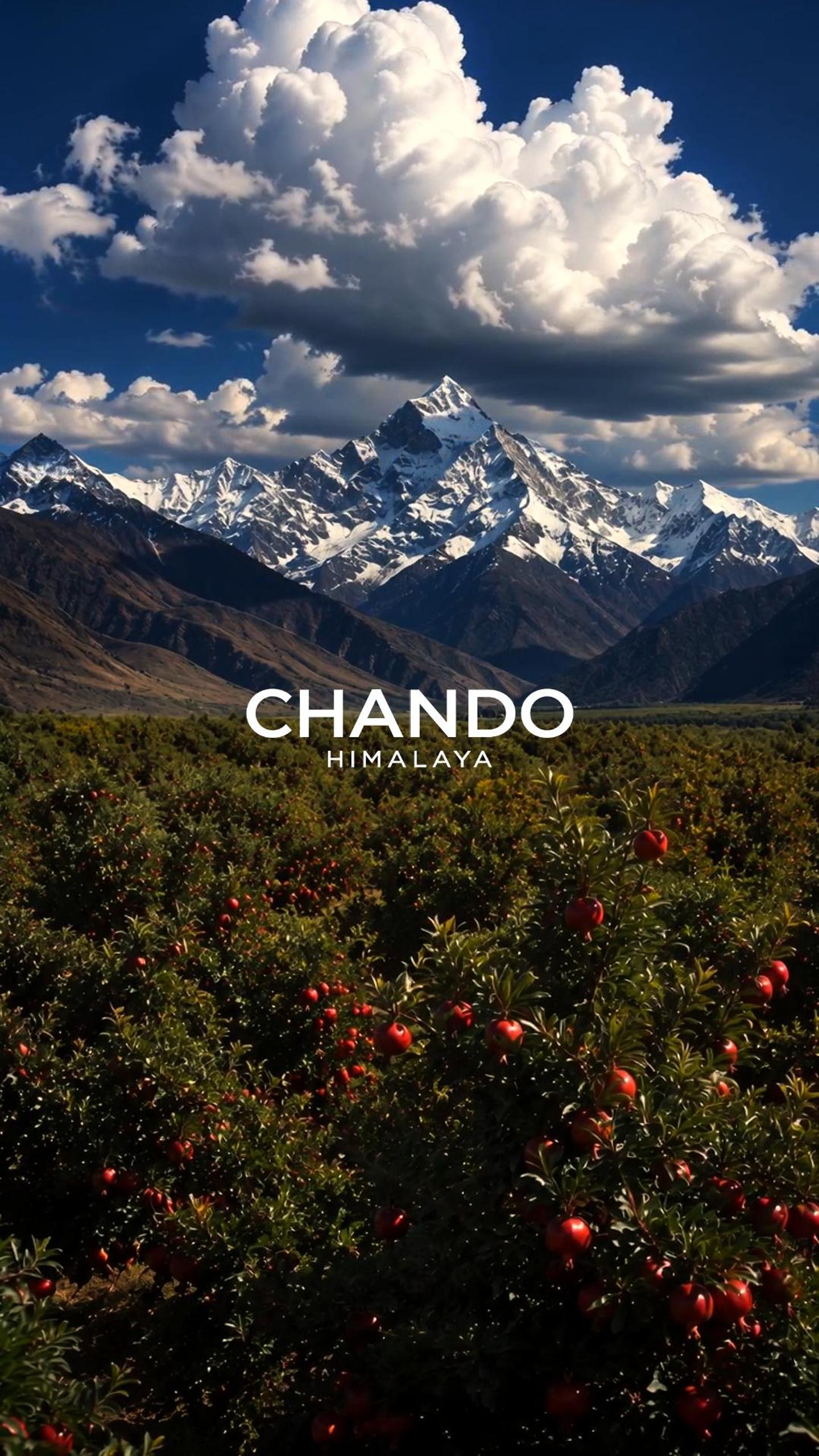 SeekLab × CHANDO｜From the quiet strength of the Himalayas
